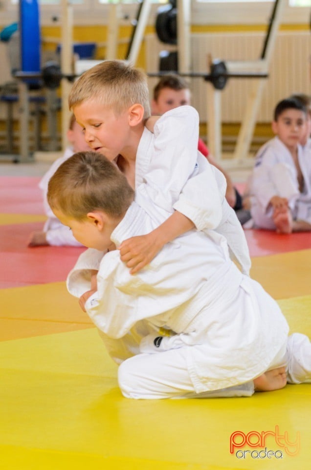 Micii judoka la Examen de Mon, Liceul cu Program Sportiv