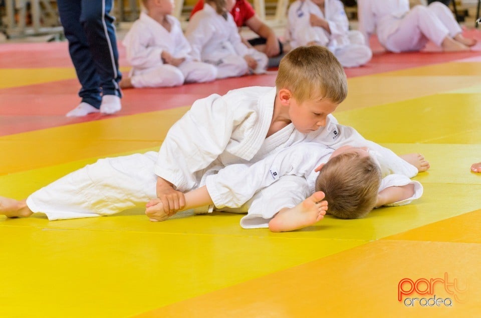 Micii judoka la Examen de Mon, Liceul cu Program Sportiv