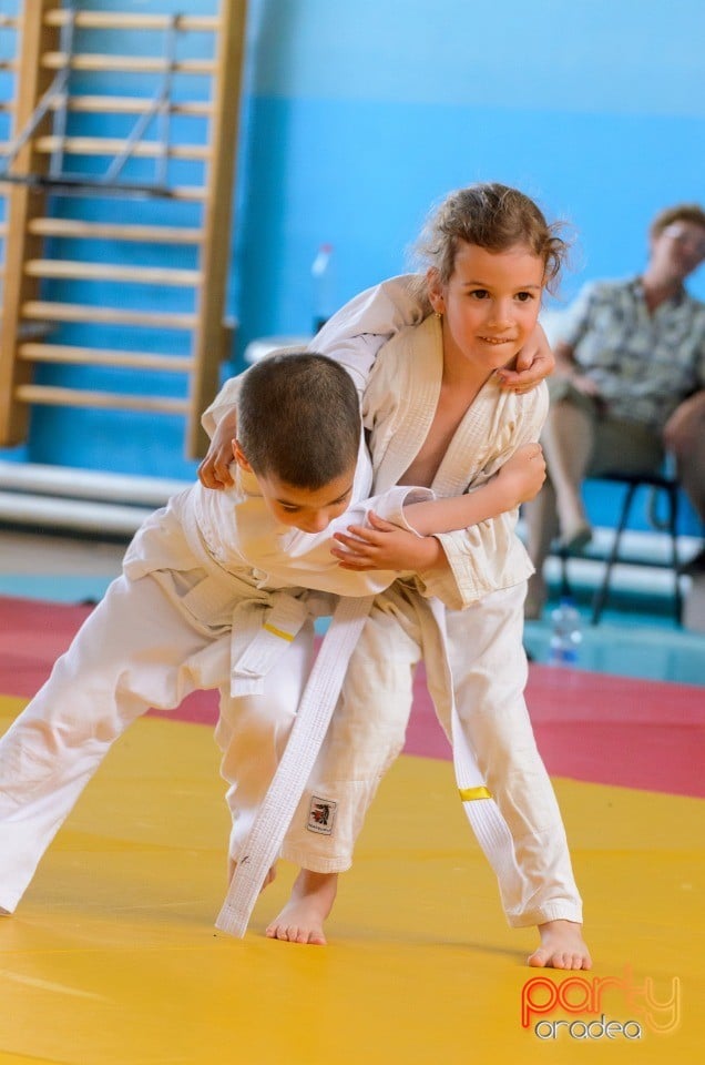 Micii judoka la Examen de Mon, Liceul cu Program Sportiv