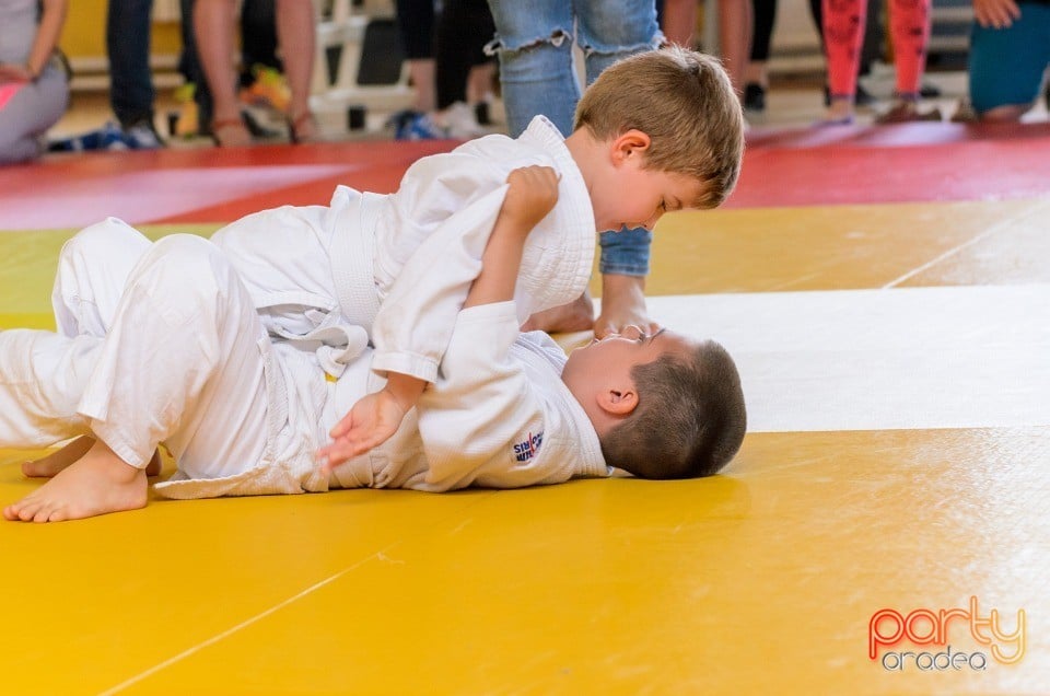 Micii judoka la Examen de Mon, Liceul cu Program Sportiv