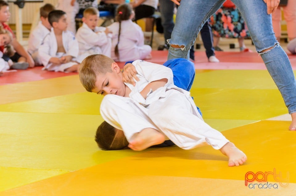 Micii judoka la Examen de Mon, Liceul cu Program Sportiv