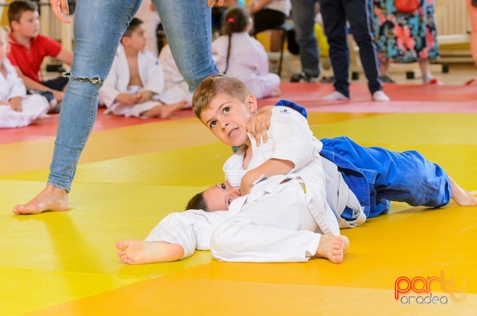 Micii judoka la Examen de Mon, Liceul cu Program Sportiv