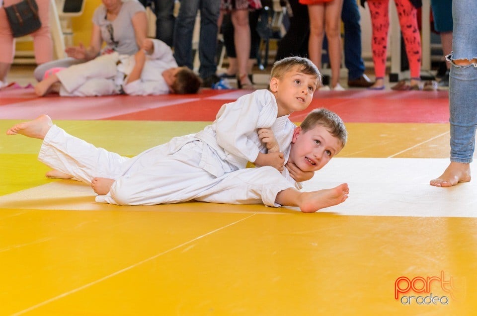 Micii judoka la Examen de Mon, Liceul cu Program Sportiv