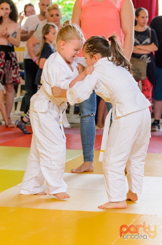 Micii judoka la Examen de Mon, Liceul cu Program Sportiv