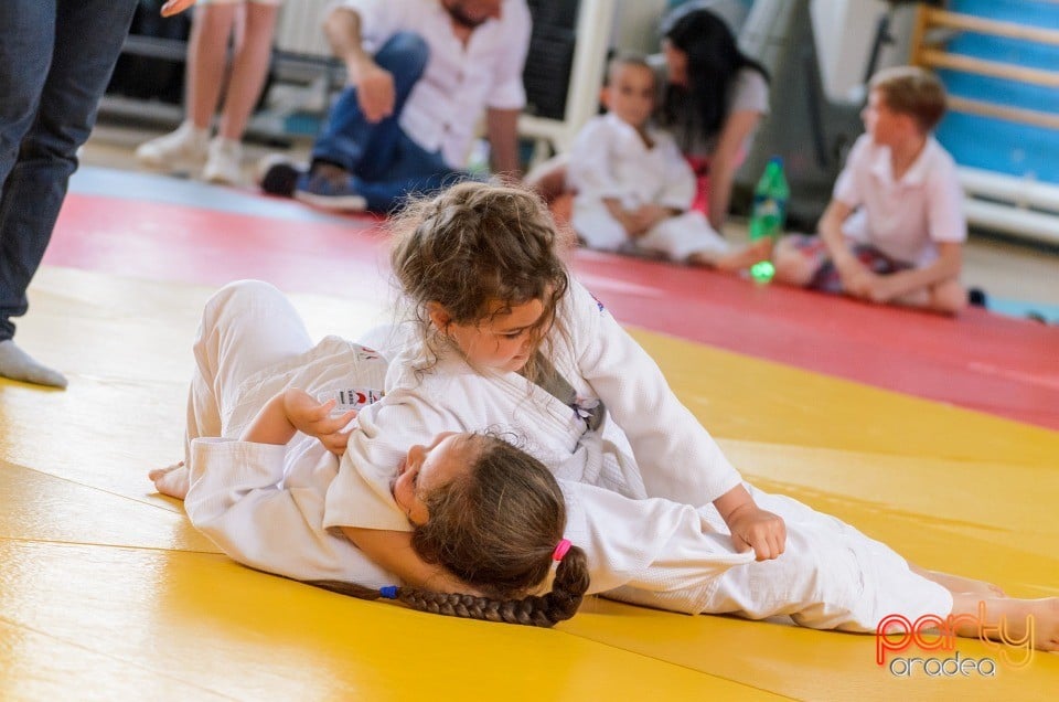 Micii judoka la Examen de Mon, Liceul cu Program Sportiv