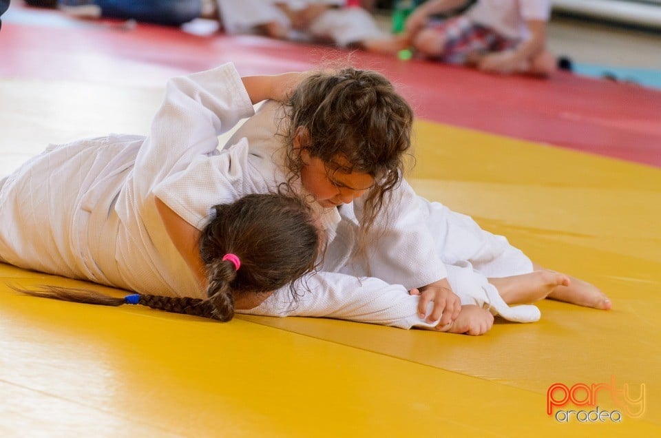 Micii judoka la Examen de Mon, Liceul cu Program Sportiv