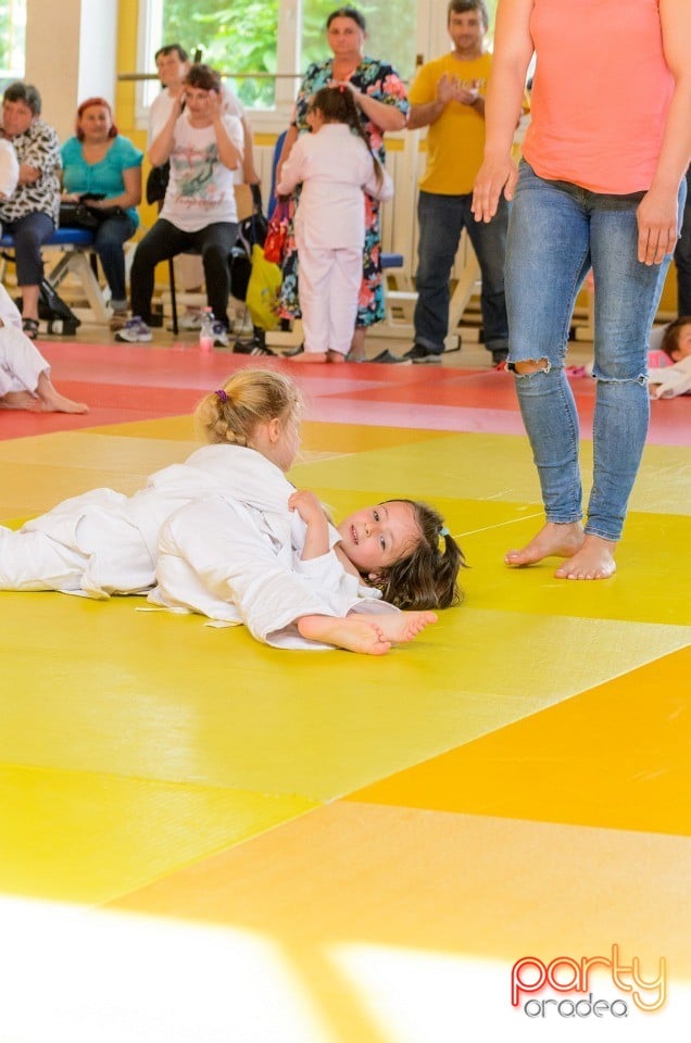 Micii judoka la Examen de Mon, Liceul cu Program Sportiv