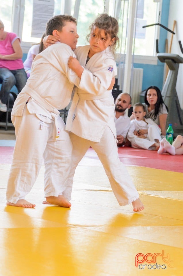 Micii judoka la Examen de Mon, Liceul cu Program Sportiv