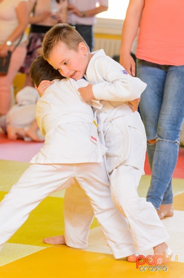 Micii judoka la Examen de Mon, Liceul cu Program Sportiv