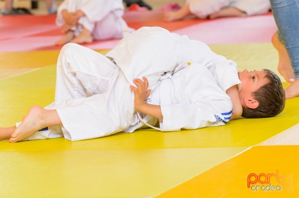 Micii judoka la Examen de Mon, Liceul cu Program Sportiv