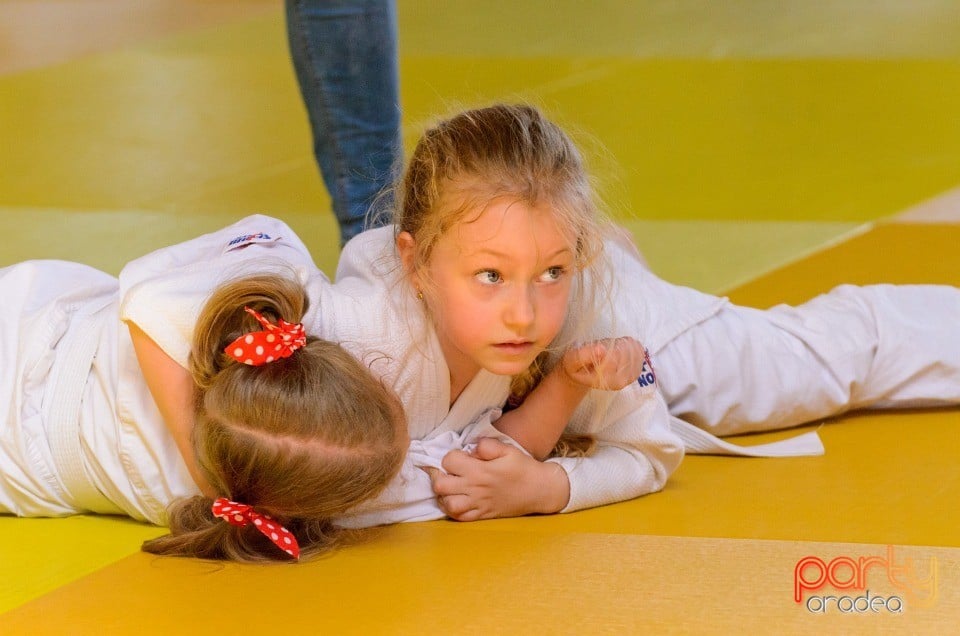 Micii judoka la Examen de Mon, Liceul cu Program Sportiv