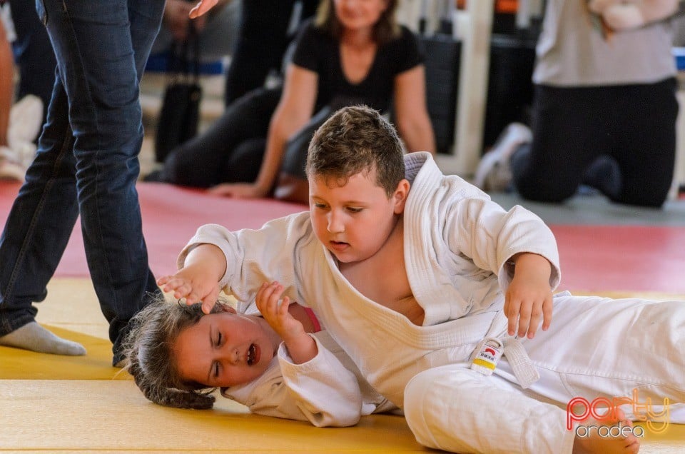 Micii judoka la Examen de Mon, Liceul cu Program Sportiv