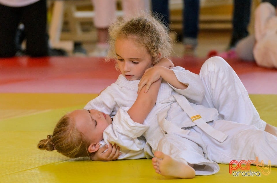 Micii judoka la Examen de Mon, Liceul cu Program Sportiv