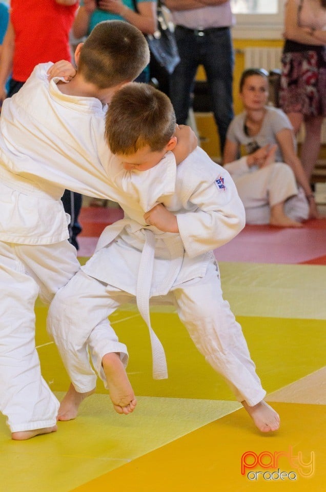 Micii judoka la Examen de Mon, Liceul cu Program Sportiv