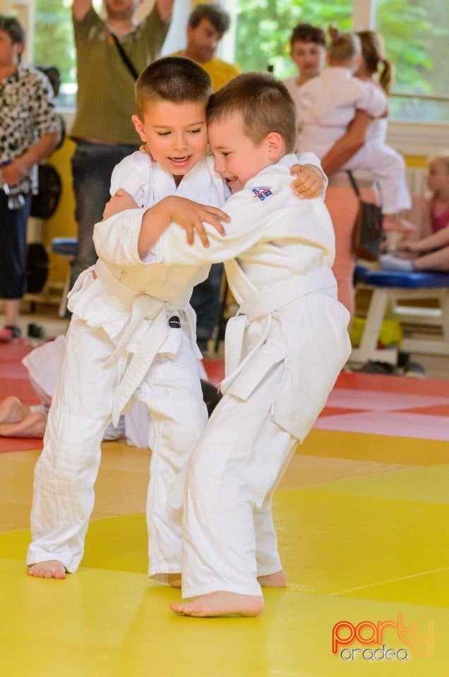 Micii judoka la Examen de Mon, Liceul cu Program Sportiv