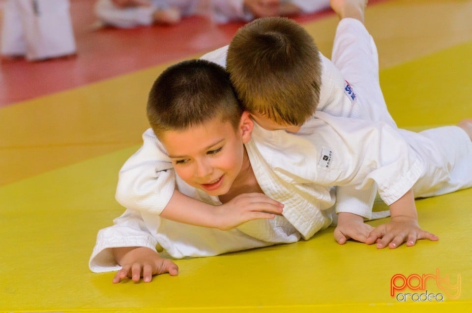 Micii judoka la Examen de Mon, Liceul cu Program Sportiv