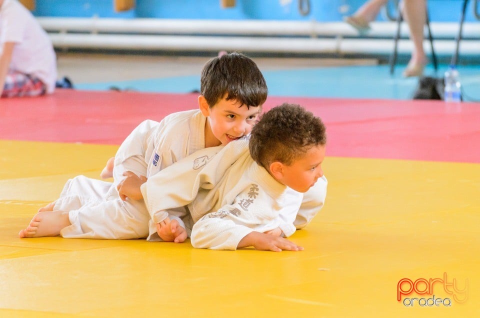 Micii judoka la Examen de Mon, Liceul cu Program Sportiv