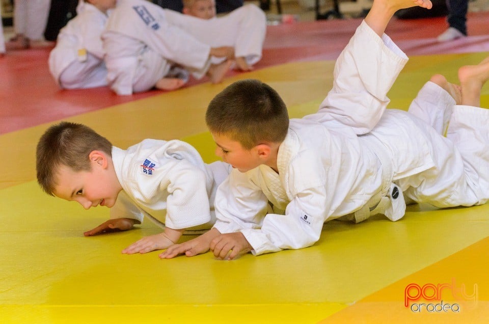 Micii judoka la Examen de Mon, Liceul cu Program Sportiv