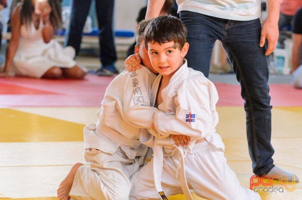 Micii judoka la Examen de Mon, Liceul cu Program Sportiv