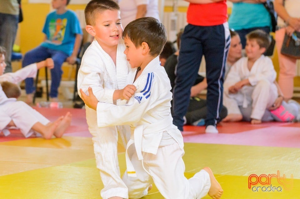 Micii judoka la Examen de Mon, Liceul cu Program Sportiv