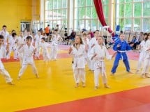 Micii judoka la Examen de Mon