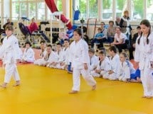 Micii judoka la Examen de Mon