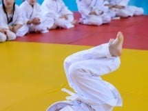 Micii judoka la Examen de Mon