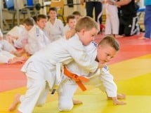 Micii judoka la Examen de Mon