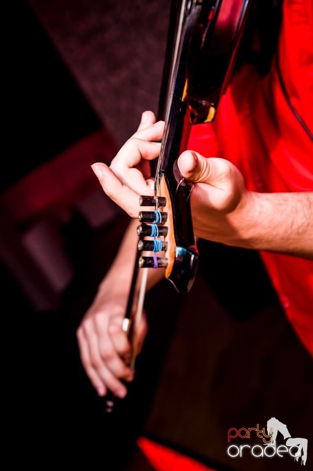 Muzica live Alex de la Oradea, 