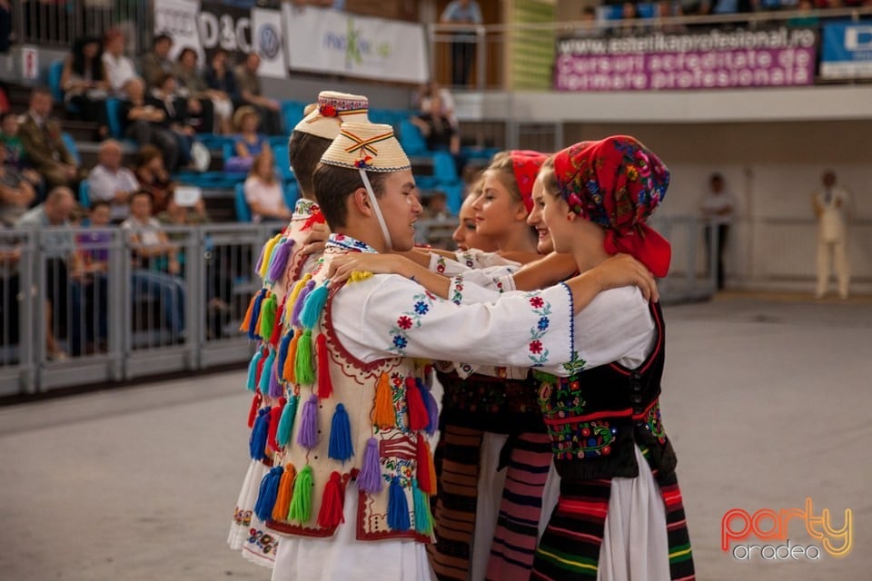 Muzică militară, Arena Antonio Alexe