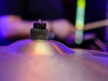 Concert live Nightloosers