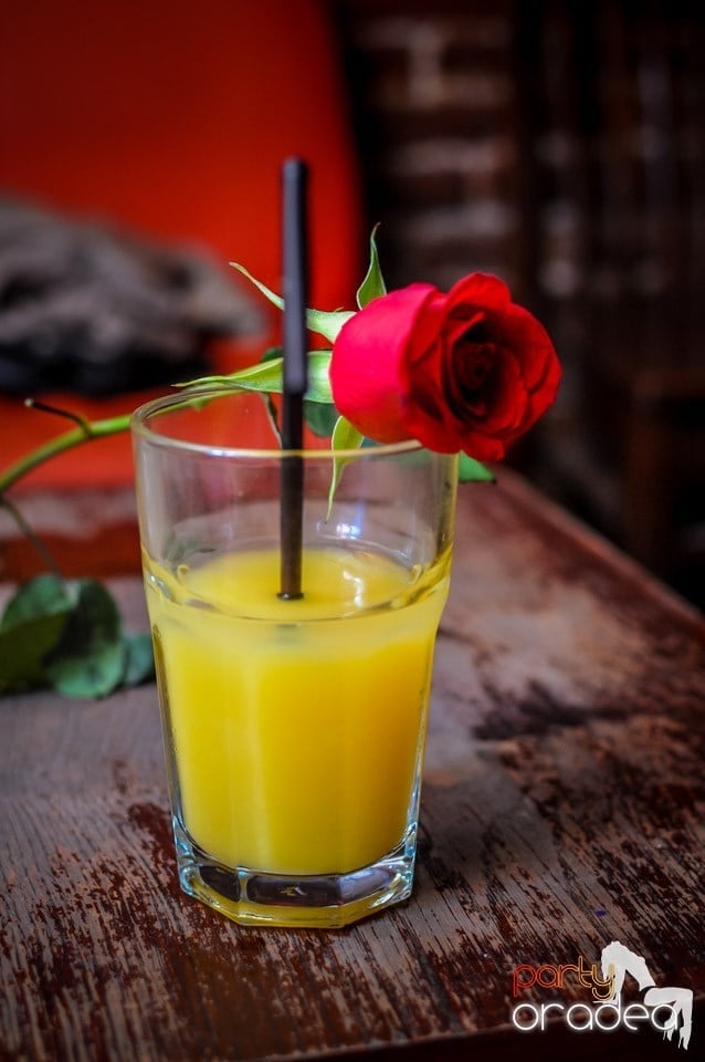 Nmd student's party, 