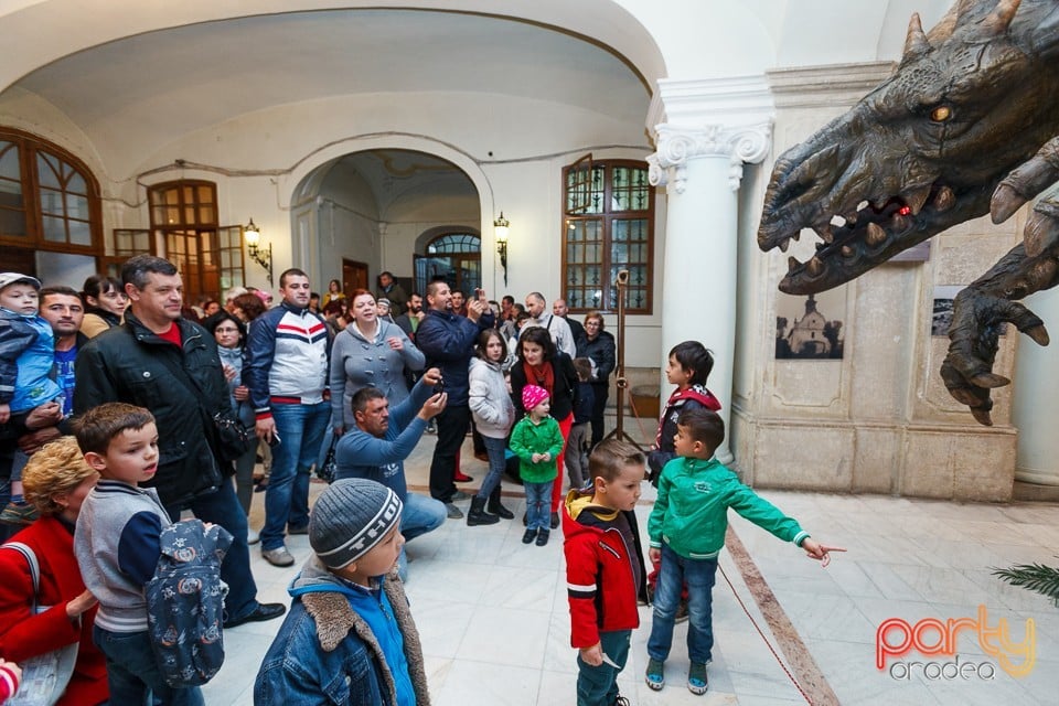 Noaptea muzeelor 2014, Oradea