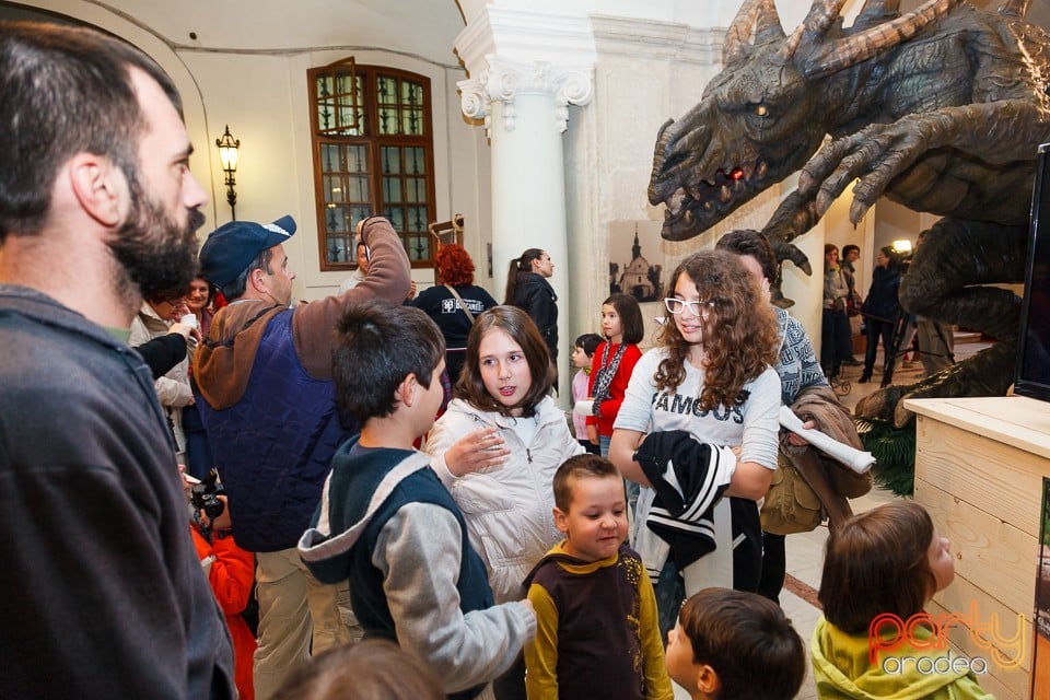 Noaptea muzeelor 2014, Oradea