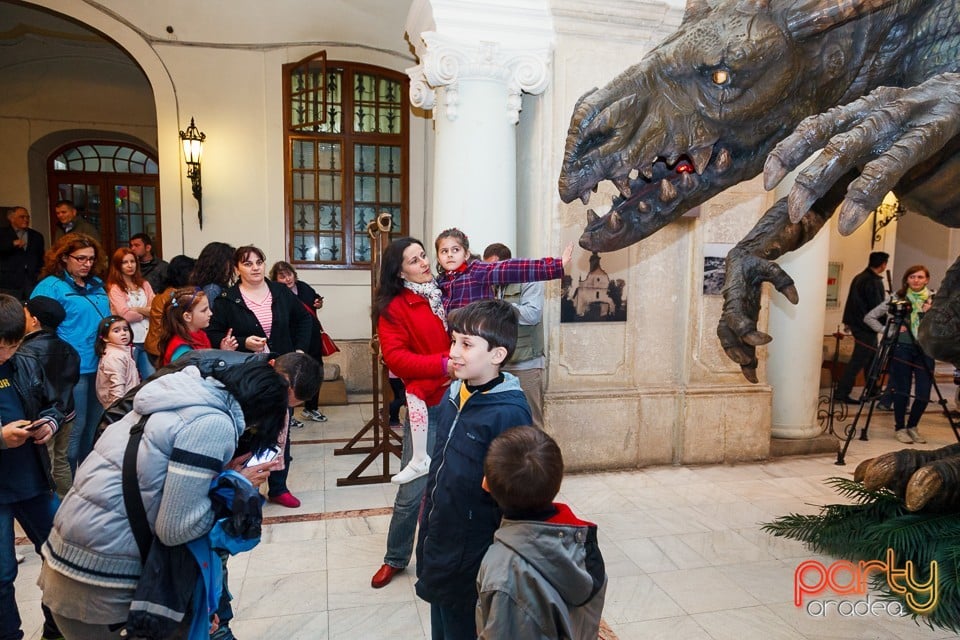 Noaptea muzeelor 2014, Oradea