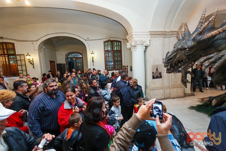 Noaptea muzeelor 2014, Oradea