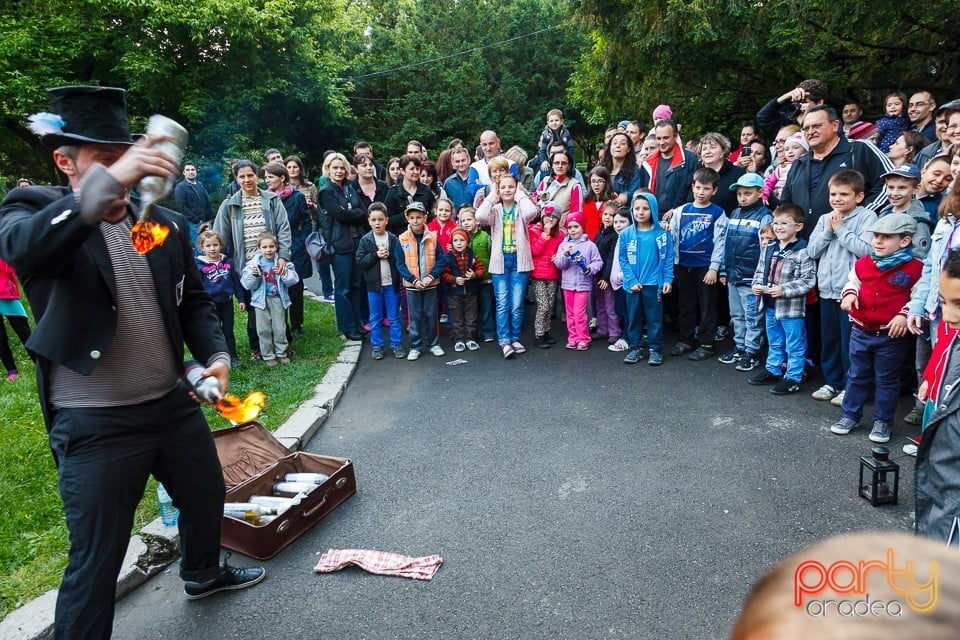 Noaptea muzeelor 2014, Oradea