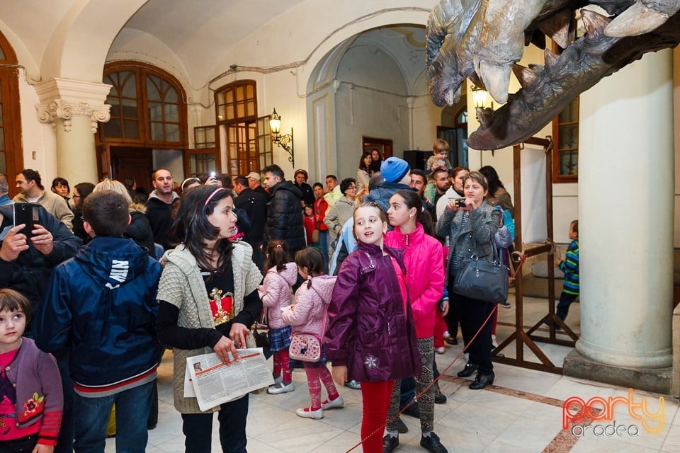 Noaptea muzeelor 2014, Oradea