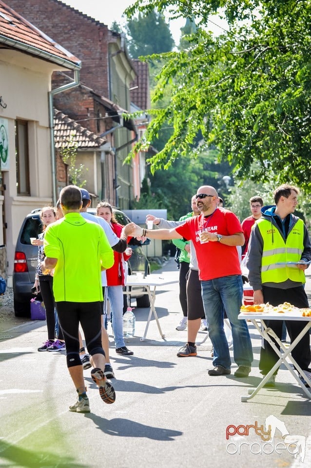 Oradea City Running Day, Oradea