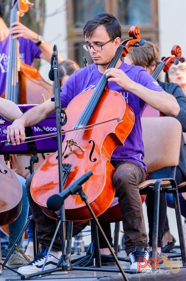 Orchestra Naţională de Tineret a Moldovei, Cetatea Oradea