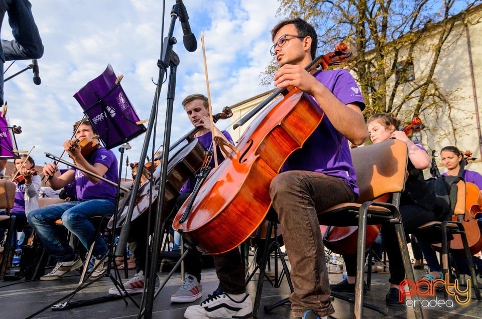 Orchestra Naţională de Tineret a Moldovei, Cetatea Oradea