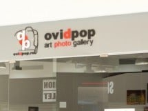 Ovidpop Art Photo Gallery