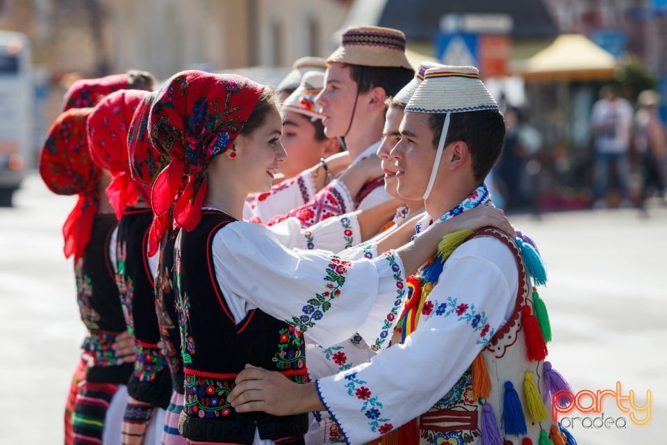 Parada formaţiilor de fanfară, Oradea