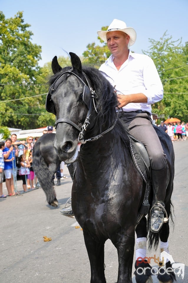 Parada la Campionatul European de Rodeo, Băile Felix