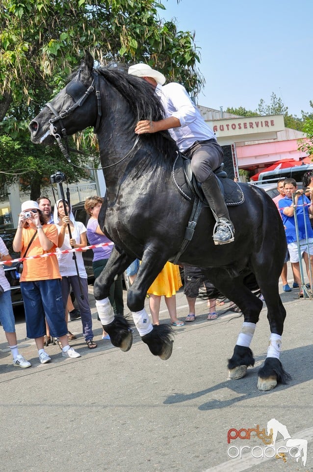 Parada la Campionatul European de Rodeo, Băile Felix