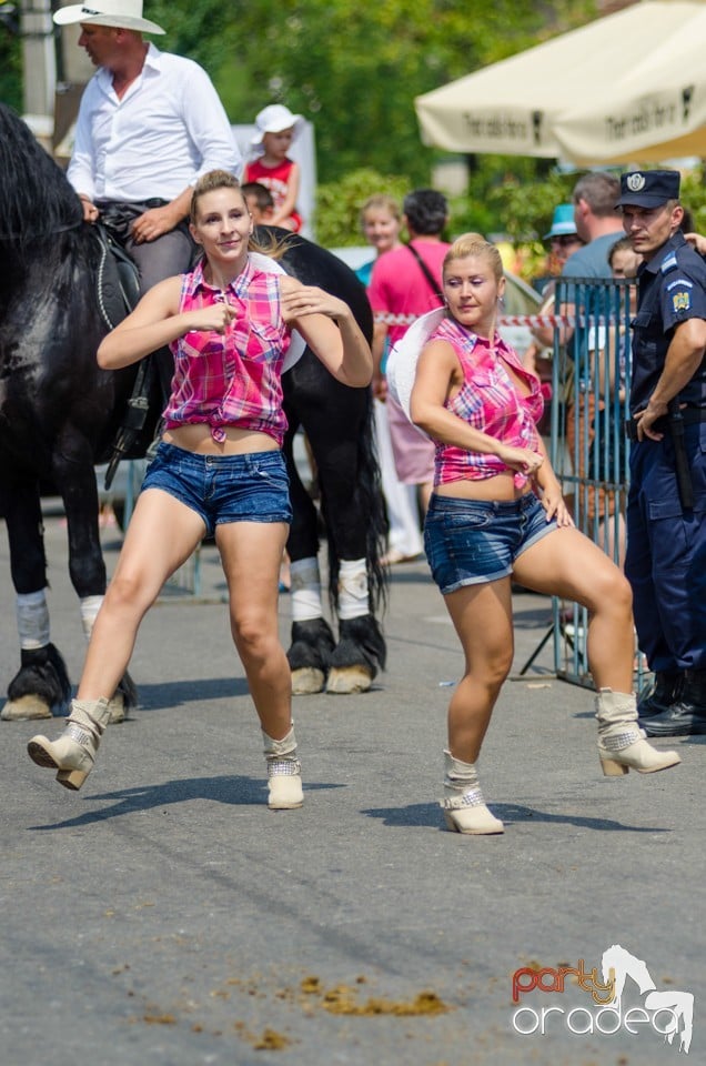 Parada la Campionatul European de Rodeo, Băile Felix