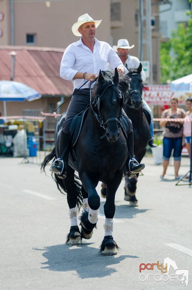 Parada la Campionatul European de Rodeo, Băile Felix