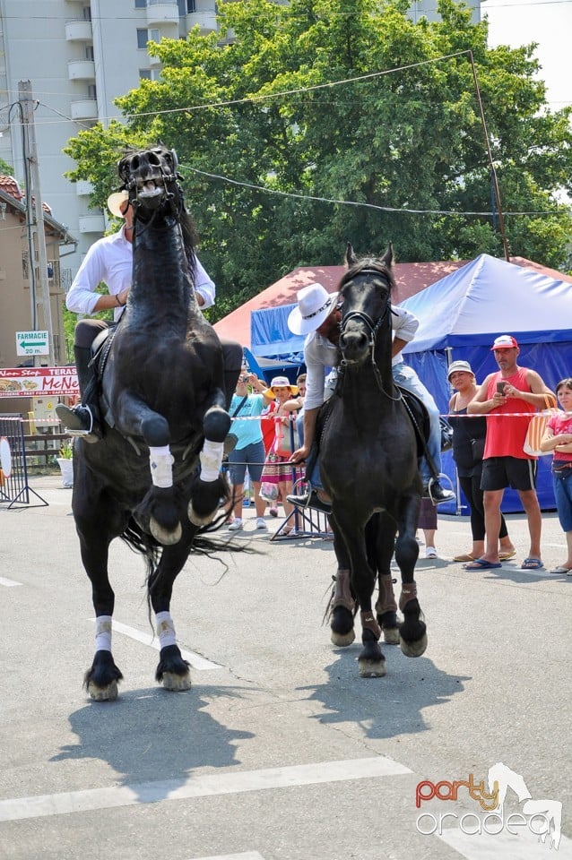 Parada la Campionatul European de Rodeo, Băile Felix