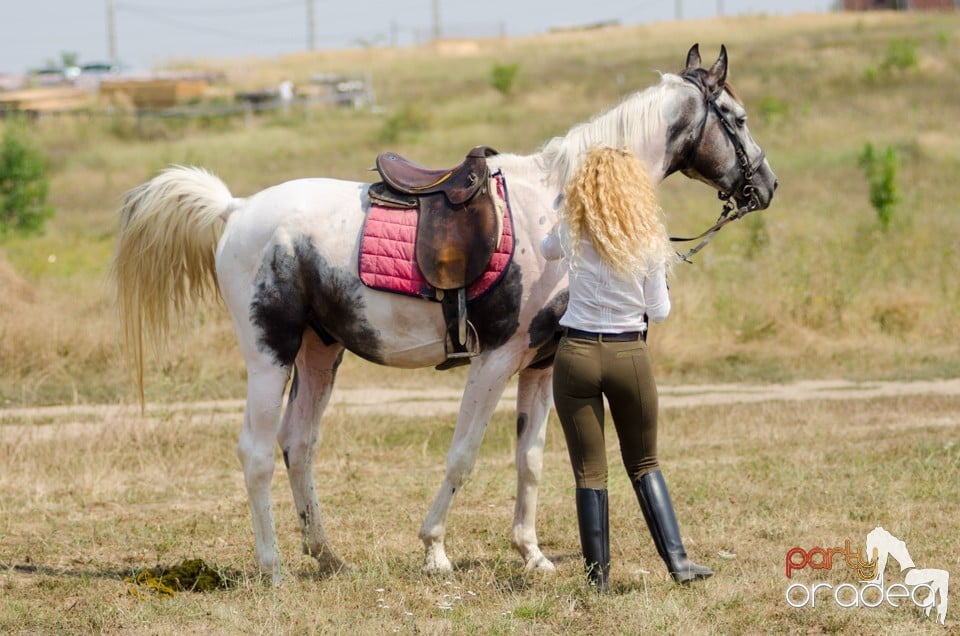 Parada la Campionatul European de Rodeo, Băile Felix