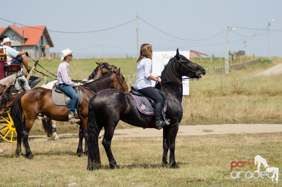 Parada la Campionatul European de Rodeo, Băile Felix